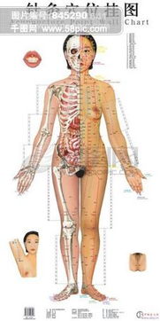 道教掛圖圖片圖片素材免費(fèi)下載 格式 jpg 圖片編號(hào) 15506766 千圖網(wǎng)