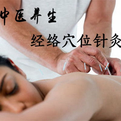 中醫養生 探索經絡穴位與針灸的奧秘