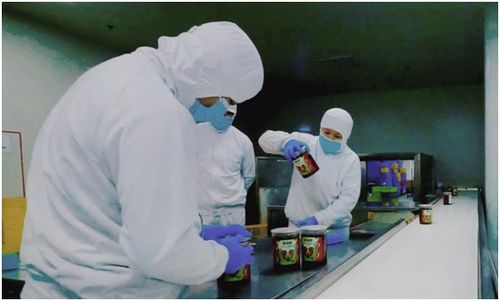 叮咚買菜江蘇盱眙工廠獲歐美零售巨頭食品安全通行證，彰顯國(guó)際化品質(zhì)