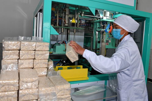 針灸助力西藏特色農(nóng)畜產(chǎn)業(yè)發(fā)展，70年總產(chǎn)值達(dá)57億元